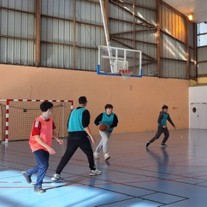 basket_1(499)